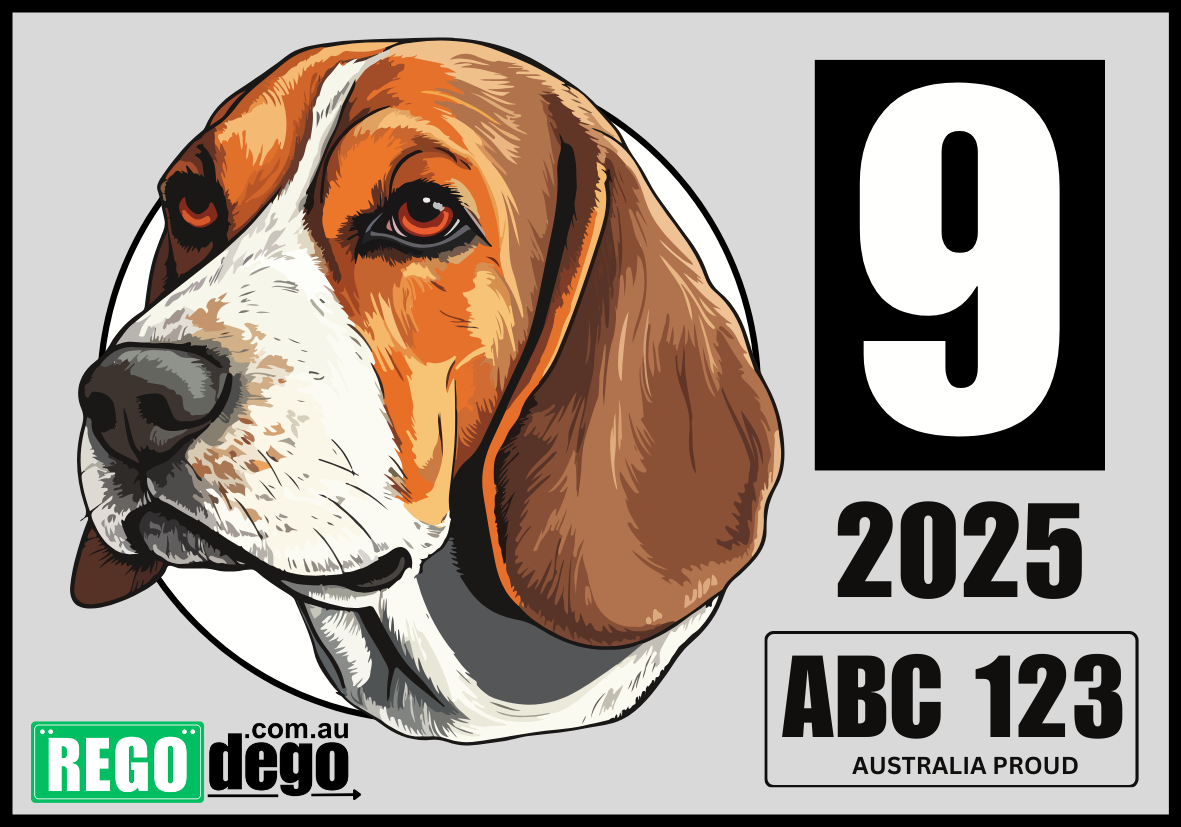 Beagle DOG - REGO Reminder Sticker