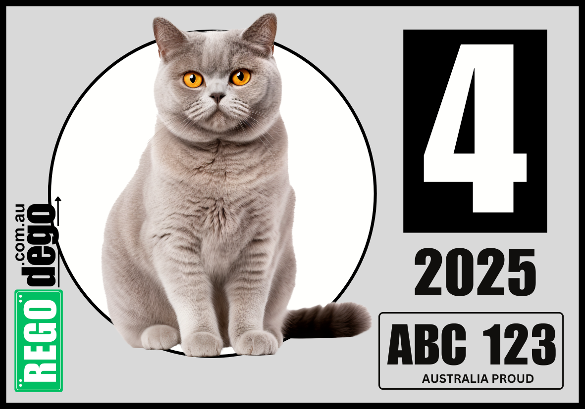 British Shorthair CAT - REGO Reminder Sticker