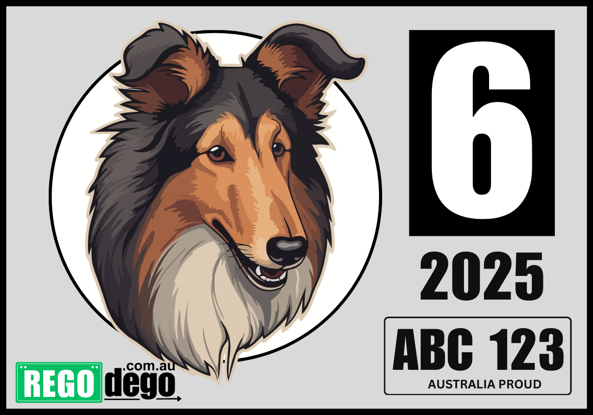 Collie DOG - REGO Reminder Sticker