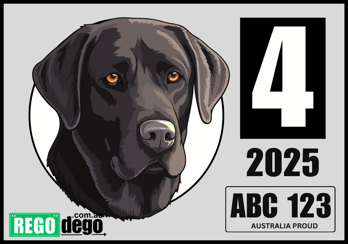 Labrador DOG - REGO Reminder Sticker