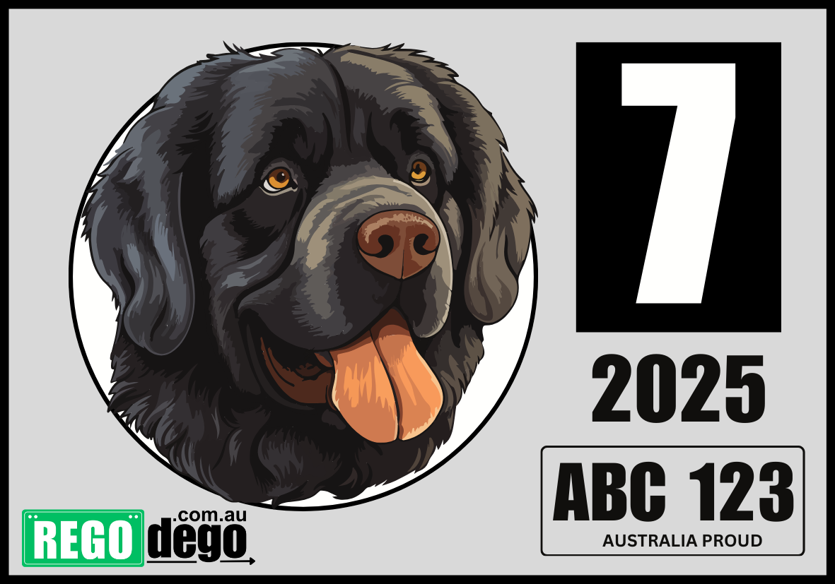 Newfoundland DOG - REGO Reminder Sticker
