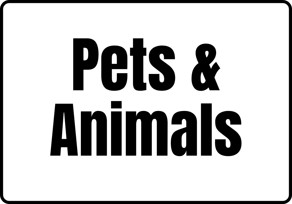 Pets and animals