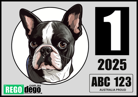 Boston Terrier DOG - REGO Reminder Sticker