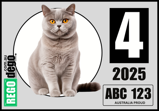British Shorthair CAT - REGO Reminder Sticker