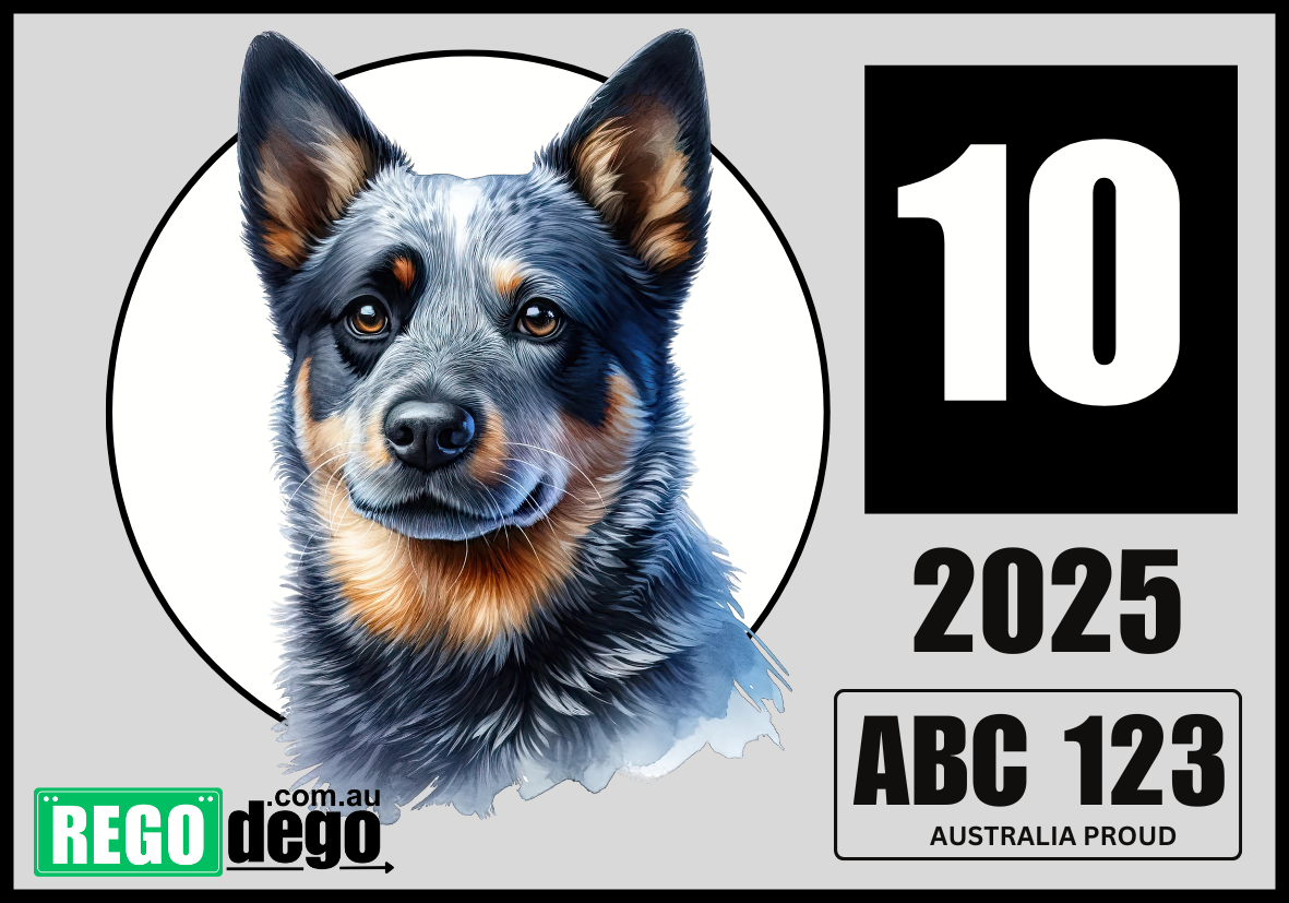 Australian cattle DOG -  REGO Reminder Sticker