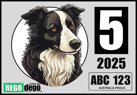 Border Collie DOG - REGO Reminder Sticker