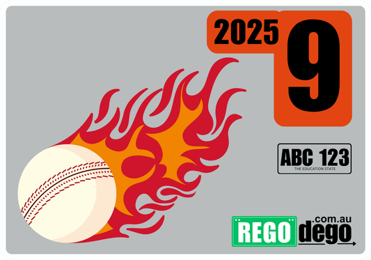 Cricket ball on fire - REGO Reminder Sticker