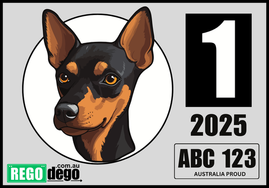 Dwarf Pinscher DOG - REGO Reminder Sticker