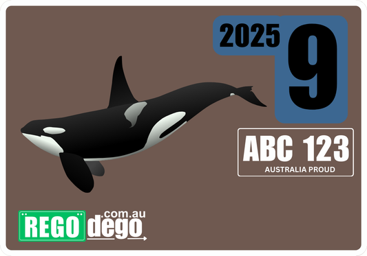 Killer whale - REGO Reminder Sticker