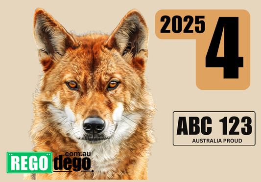 Dingo - REGO Reminder Sticker