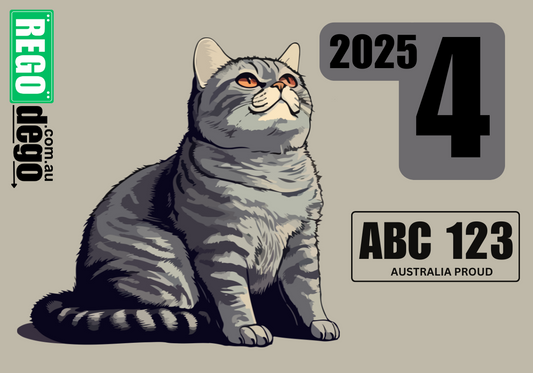 Cat looking up - REGO Reminder Sticker