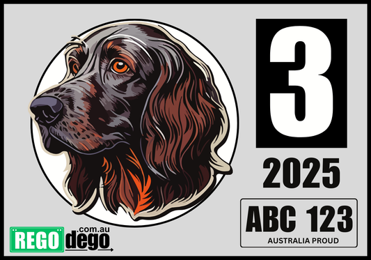 Setter DOG - REGO Reminder Sticker